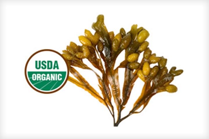 Self Photos / Files - image_3