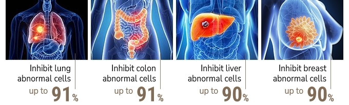 Self Photos / Files - image_product_EN